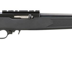 Ruger 31210 10/22 Carbine 22 LR 10+1 18.50" Satin Black Alloy Steel Barrel, Satin Black Picatinny Rail Steel Receiver, Black Synthetic Fixed Stock
