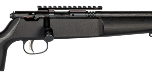 SAVAGE ARMS RASCAL TARGET 22LR CMPT BLACK