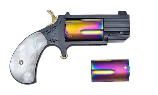 NAA THE UGLY 22LR/22MAG 5 SHOT 1 IN BARREL