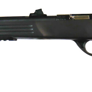 Crickett KSA693 Adult Pistol 22 LR 1rd 10.50" Blued Threaded Barrel w/Cap, Williams Fire Sights, Integrated Picatinny Accessory Rail, Synthetic Grip, Rebounding Firing Pin Safety