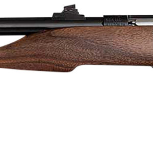 Chipmunk 40001 Hunter Youth Frame 22 S/L/LR Single Shot 9" Threaded Blued Steel Barrel, Walnut Frame, EZ Loader