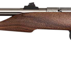 Chipmunk 40101 Hunter Youth Frame 22 S/L/LR Single Shot 9" Threaded Stainless Steel Barrel, Walnut Frame, EZ Loader